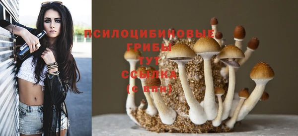 метадон Липки