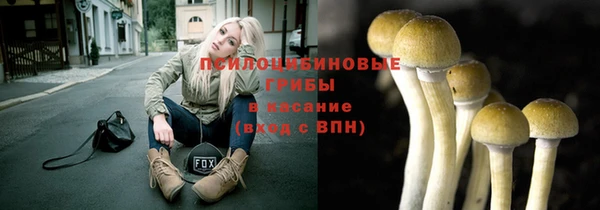 COCAINE Майский