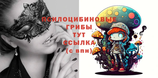 PSILOCYBIN Магадан