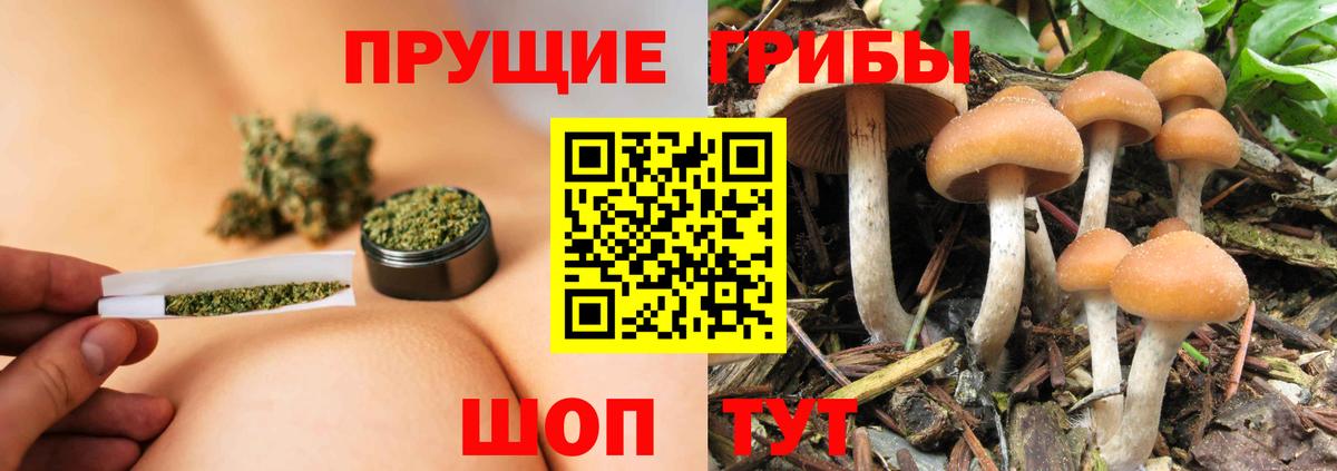 Псилоцибиновые грибы Cubensis Холмск